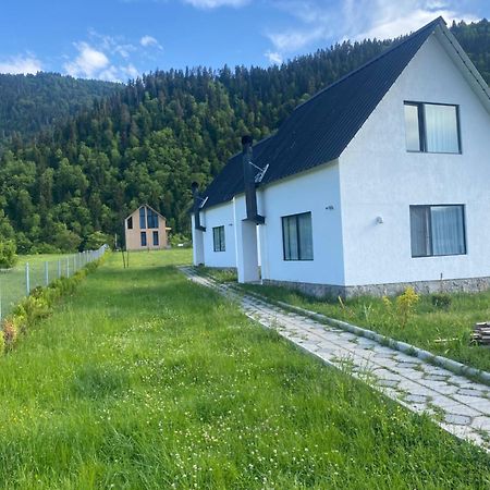 Apartamento White House Near Borjomi Sadgeri Exterior foto