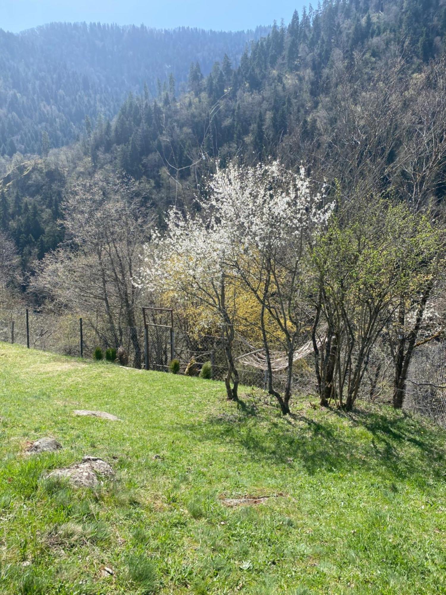 Apartamento White House Near Borjomi Sadgeri Exterior foto